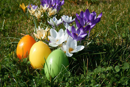 复活节蜡烛，以鸡蛋形式在春天的花朵之间