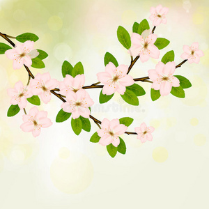 盛开的树枝矢量，粉红色的春天开花。