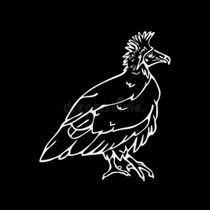 手绘鱼鹰图片-手绘鱼鹰素材-手绘鱼鹰插画-摄图新视界