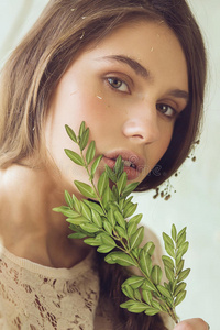 损益 树叶 花瓣 优雅 植物标本馆 嘴唇 玻璃 花边 草本植物