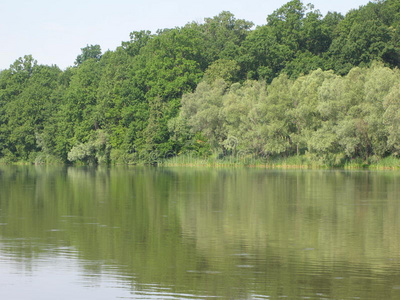 夏季景观