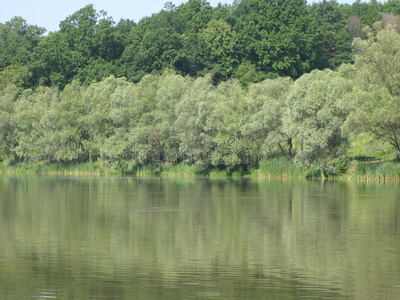 夏季景观