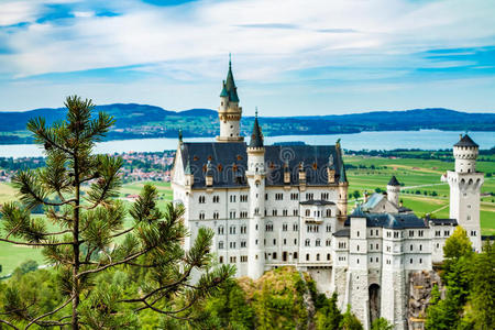 幻想 骑士 巴伐利亚 风景 森林 迪斯尼 历史 德国 城堡