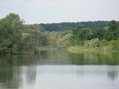 夏季景观