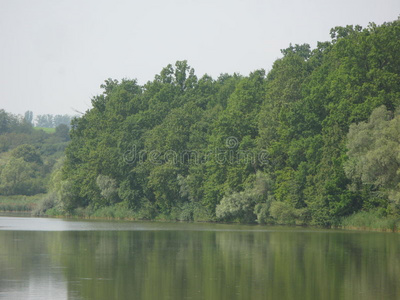 夏季景观