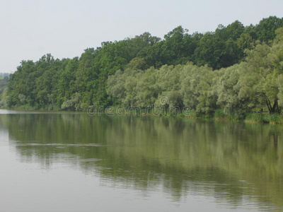 夏季景观