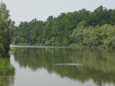 夏季景观