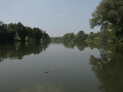 夏季景观