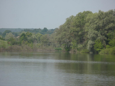 夏季景观