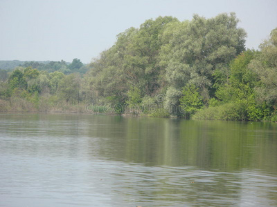 夏季景观