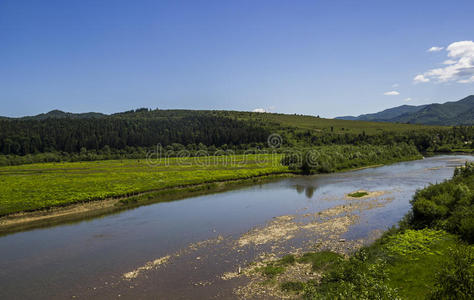 全景 公园 森林 范围 流动的 天空 树叶 地标 植物 反射