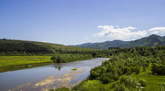 场景 松木 欧洲 地标 天空 森林 美女 风景 美丽的 树叶