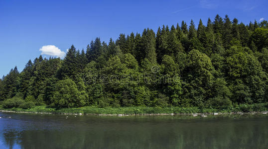 极端 松木 全景 自然 欧洲 天空 流动 特拉 地标 云杉