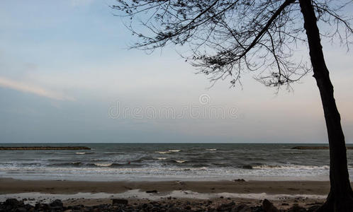 轮廓 海岸 天堂 风景 夏天 海景 求助 美丽的 自然 阳光