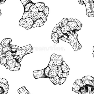 涂鸦 轮廓 甘蓝 虚拟企业 概述 艺术品 艺术 工艺品 卡片