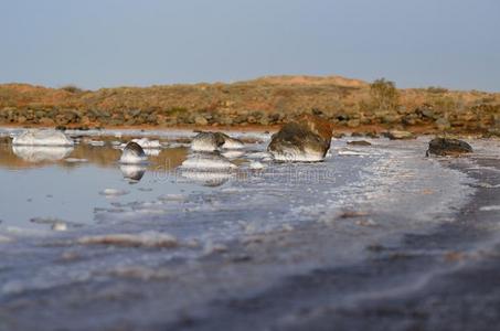自然 池塘 摄影 滨海 环境 石头 盐水 生态 海水 生态学