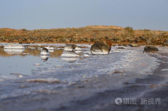 自然 池塘 摄影 滨海 环境 石头 盐水 生态 海水 生态学