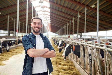 农业 奶牛 男人 兽群 牲畜 牛肉 国家 畜牧业 在室内