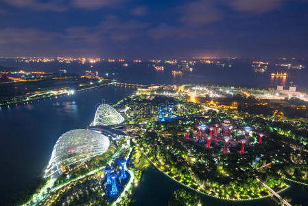 新加坡夜景空中花园图片