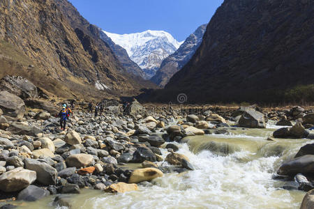 亚洲 目的地 营地 森林 徒步旅行 丛林 高的 喜马拉雅山