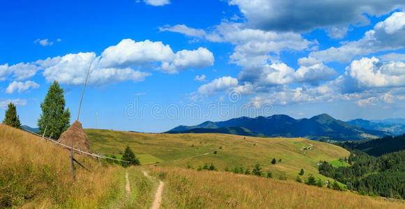 美丽的 国家 阿尔卑斯山 干草 旅行 季节 斜坡 假期 积云