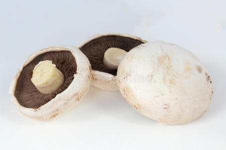 健康 烹调 烹饪 真菌 特写镜头 食物 营养 自然 蘑菇