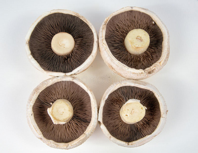四个大蘑菇