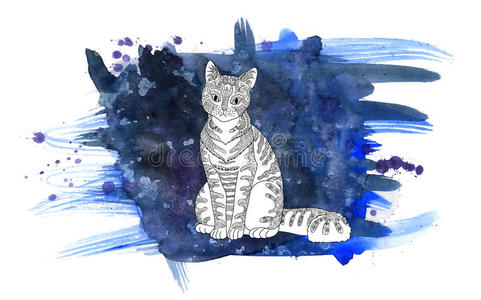 宠物 绘画 毛皮 成人 艺术 小猫 美丽的 着色 颜色 卷曲