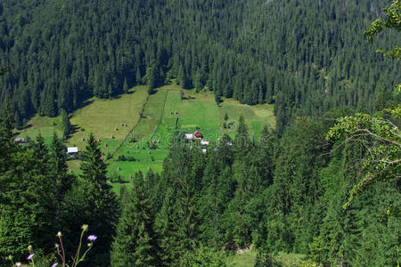 生态 地质 阿尔卑斯山 欧洲 目的地 冒险 保护 自然 经验