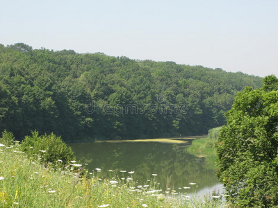 夏季景观