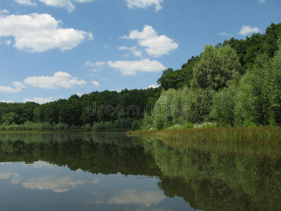 夏季景观