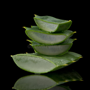 营养物 洗剂 草本植物 治愈 健康 凝胶 燃烧 草药 仙人掌