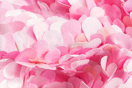 花瓣 春天 粉红色 猪圈 艺术 时尚 工艺 玫瑰 作文 浪漫的