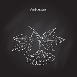 茶油插画-茶油手绘-茶油卡通图-摄图新视界