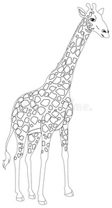 长颈鹿的动物轮廓