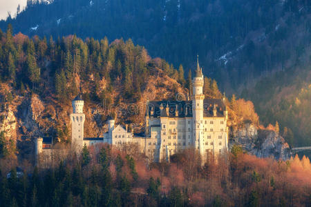 巴伐利亚 仙女 国王 建筑学 城堡 德语 纳特 建筑 幻想