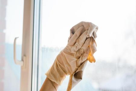 厨房 房子 清理 家务 手套 在室内 女人 洗涤剂 卫生