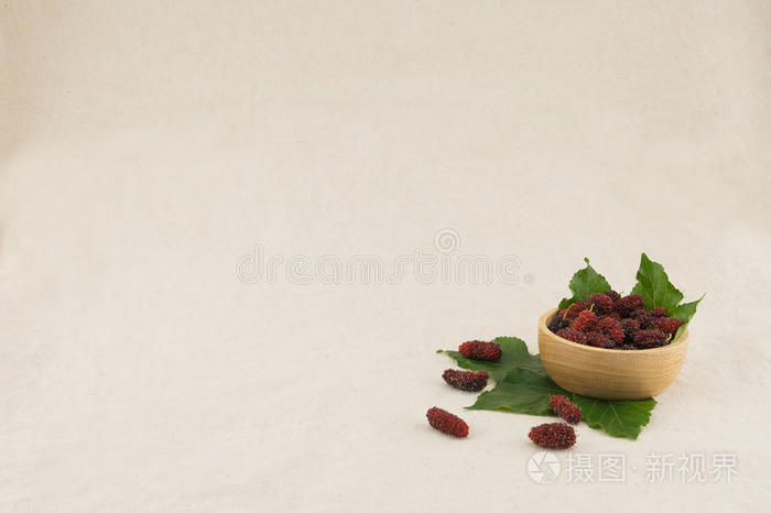 果酱 桑椹 甜点 营养 健康 复制 颜色 美味的 横幅 纤维