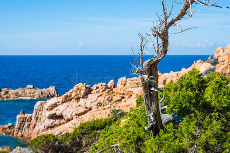 自然 撒丁岛 天堂 一瞥 海滨 科斯塔 海景 风景 美丽的