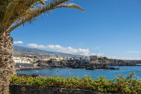 欧洲 金丝雀 西班牙语 岩石 海岸 假日 海景 风景 图里