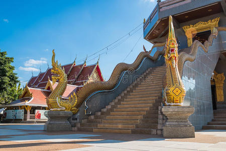 雕像 楼梯 艺术 纳加 寺庙 美丽的 宝塔 佛教