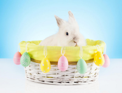 可爱的复活节兔子坐在一个柳条篮子里，上面装饰着复活节彩蛋