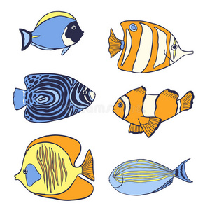 假日 颜色 生活 水族馆 鱼类 公司 收集 插图 自然 概述