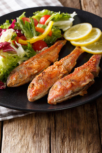 美味的鱼红鱼与新鲜混合蔬菜沙拉特写。 垂直的