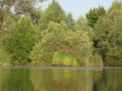 夏季景观