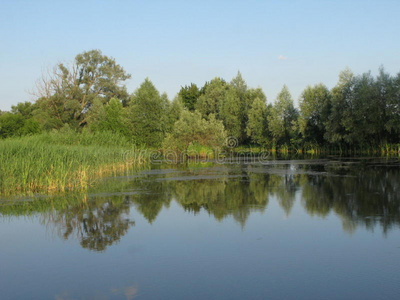 夏季景观