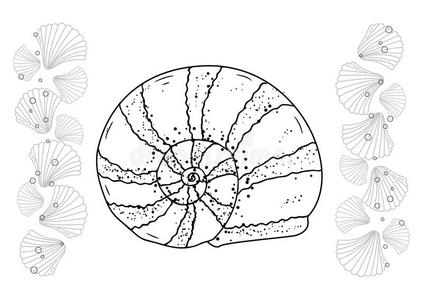 手绘收藏品。 黑白矢量插图。