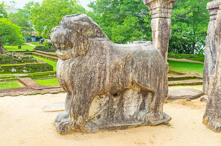 森林 雕刻 环境 绿色植物 建筑学 艺术 大厅 丛林 王国