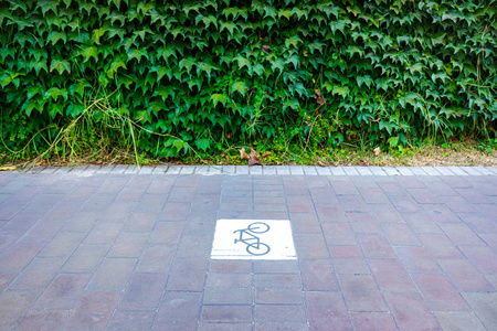 自行车道用信号灯与交通隔开。