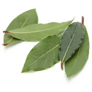 Aromatic bay leaves 